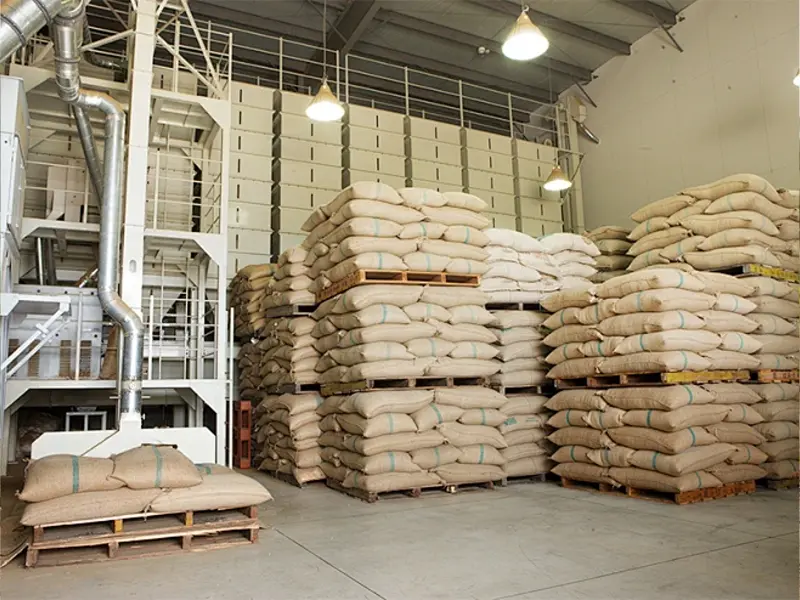 Mini Skid Steer Loader