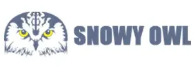 Snowy Owl Machine